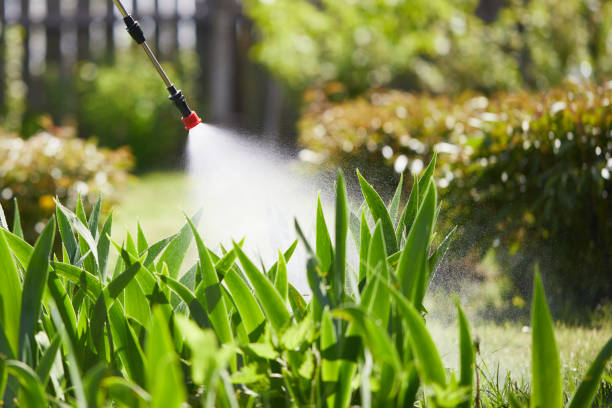 24/7 Emergency Mosquito Control experts in Menifee, CA