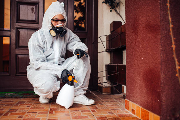 Reliable Mosquito Control contractor in Menifee, CA by Show Me Pest Control